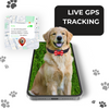 FeTaca PB1 Smart 4G GPS Waterproof Collar with Bow Tracker with 12months Free Tracking & App Subscription for Dogs and Cats (Red) Both-Collar, Leashes, harnesses FeTaca Dropship