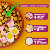 Pedigree Chicken Biryani Flavour Adult Dog Dry Food Dogs- Dry Food Pedigree