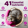 Whiskas Chicken Flavour Cat (Adult 1+) Dry Food Cats- Dry food Whiskas