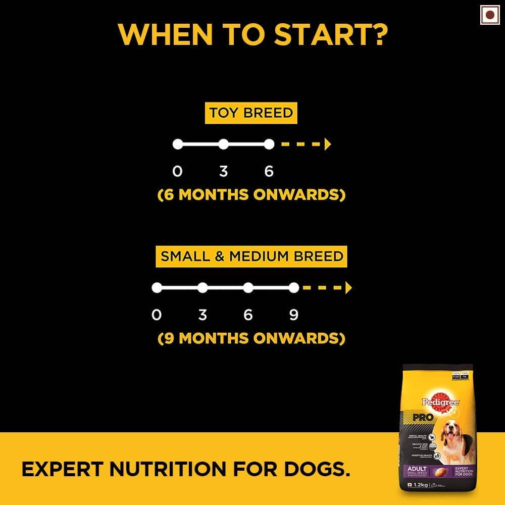 Pedigree PRO Expert Nutrition Dry Food for Small Breed and Chicken and Liver Chunks in Gravy Wet Adult Dog Food Combo