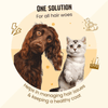 Henlo Everyday Topper for Home Cooked Food and Bark Out Loud Skin & Coat Sardine Oil for Dogs Combo Exclusive Combo Exclusive Combo