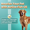 Bark Out Loud Glow and Shine Turmeric and Immunity Multi Vitamin Chew Stix for Dogs and Cats Combo Dog Treats + Others Bark Out Loud
