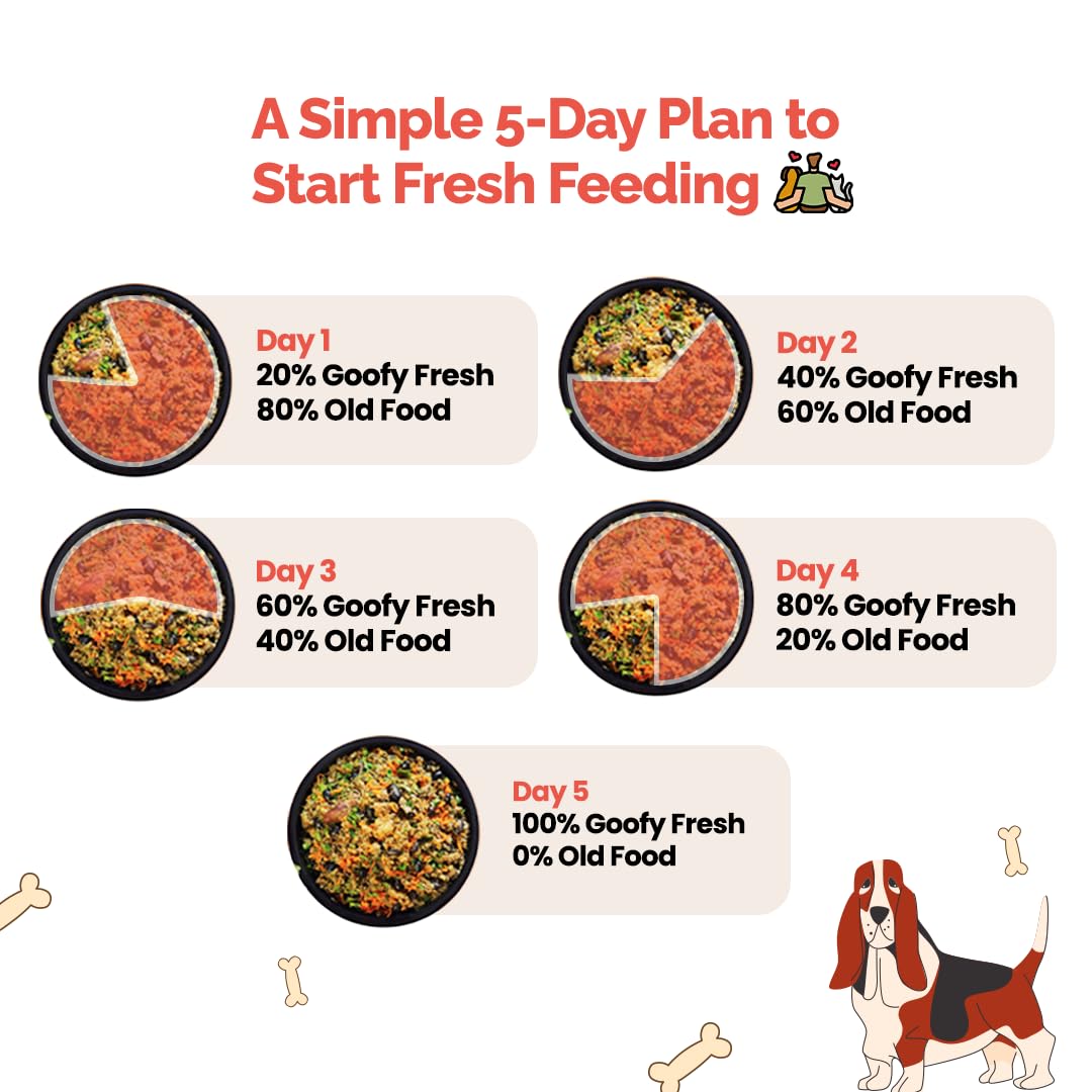 Goofy Tails Mackerel & Chicken and Himalayan Trout & Anchovies Combo Cat Wet Food Cats-Wet Food Goofy Tails