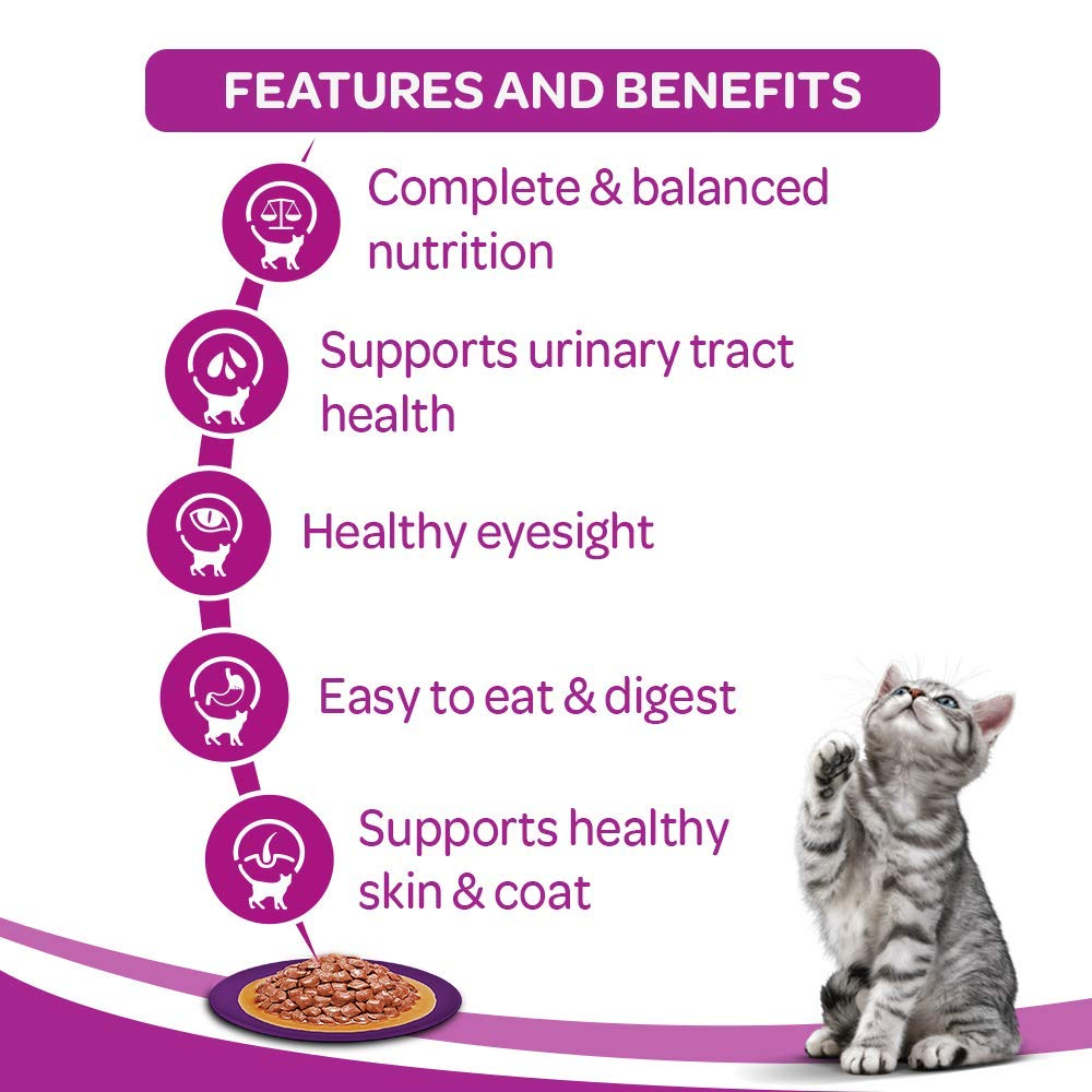 Whiskas Salmon in Gravy Meal and Chicken Gravy Adult Cat Wet Food Combo
