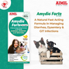 Aimil Amydio Forte Liquid Supplement for Dogs and Cats Both-Health & Wellness Aimil