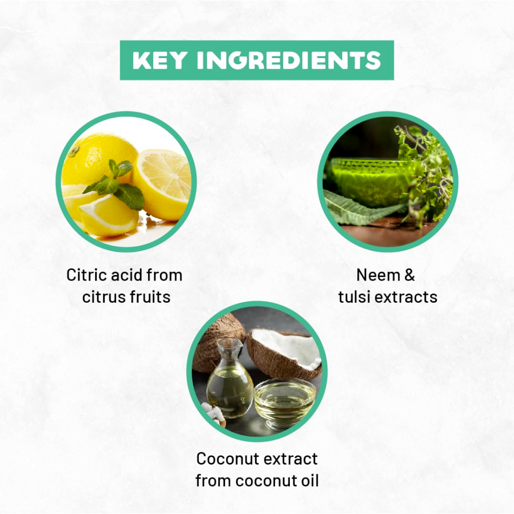 Born Good Plant Based Turkish Applewood Frangrance Disinfecting Liquid Floor/Surface Cleaner for Dogs and Cats Both-Health & Wellness Born Good