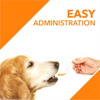 Drools Absolute Salmon Oil Syrup Supplement for Dogs Dogs-Health & Wellness Drools