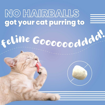 Bark Out Loud by Vivaldis Hairball Control Pillow Cat Treats