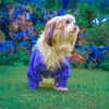 Woofiezz Nautical Party Shirt for Dogs and Cats (Blue) Both-Clothing & Accessories Woofiezz Dropship
