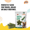 Novee Mini Dental Care Stick Treats for Dogs Dog Treats + Others Novee