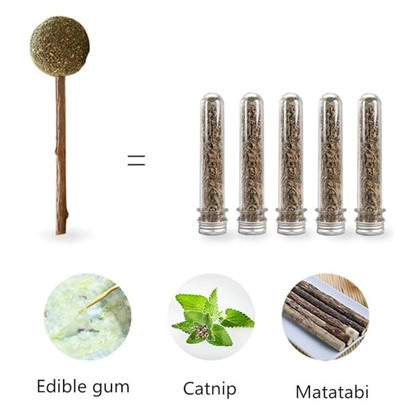 Skatrs Catnip Lollipop Natural Wooden Teeth Cleaning Toy for Cats and Kittens