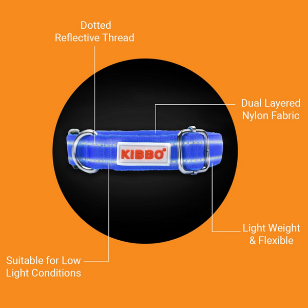 Kibbo Premium Reflective Padded With Soft Mesh Padding & Adjustable Design Collar for Dogs (Blue)