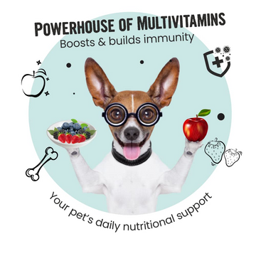 Bark Out Loud Immunity Multi Vitamin Chew Stix for Dogs and Cats