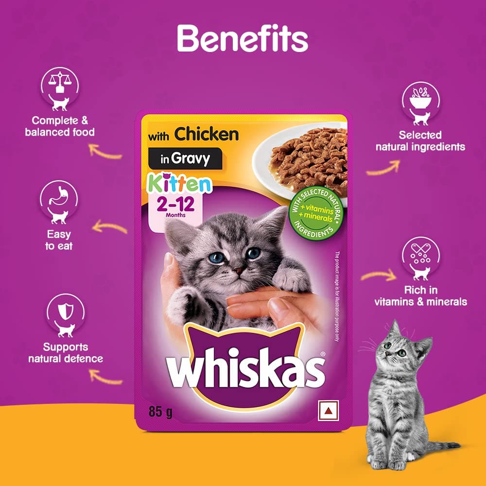 Whiskas Chicken in Gravy Meal Kitten Wet Food and Ocean Fish Kitten Dry Food Combo