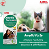 Aimil Amydio Forte Liquid Supplement for Dogs and Cats Both-Health & Wellness Aimil