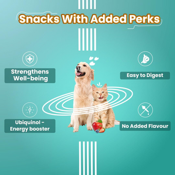 Bark Out Loud Immunity Multi Vitamin Chew Stix for Dogs and Cats