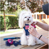 Joyser Puppy Squirrel with Helmet for Dogs (Pink/Dark Blue) Dogs-Toys Joyser