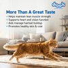 Drools Mackerel Adult Cat Dry Food Cats- Dry food Drools
