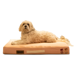 Petter World Micro Fur Orthopedic Mattress Bed with Memory Foam Base for Dogs (Peach Pearl)