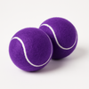 Talking Dog Club Tennis Ball Toy for Dogs (Purple) Dogs-Toys Talking Dog Club Dropship Pack of 2