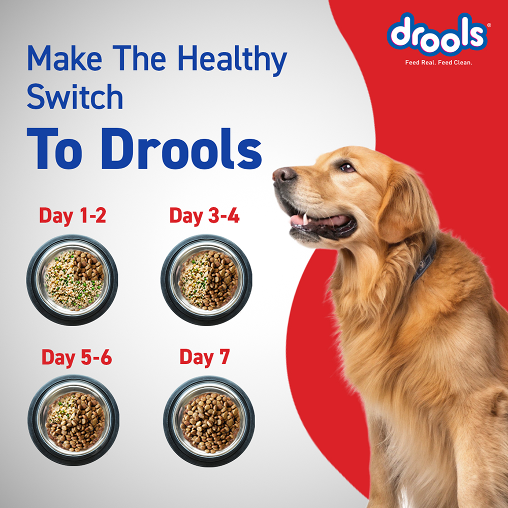 Drools Optimum Performance Adult Dog Dry Food Dogs- Dry Food Drools
