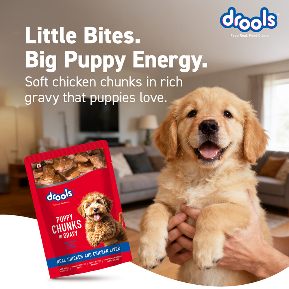 Drools Real Chicken & Chicken Liver Chunks in Gravy Puppy Dog Wet Food Dogs-Wet Food Drools