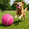 Talking Dog Club Tennis Ball Toy for Dogs (Pink) Dogs-Toys Talking Dog Club Dropship