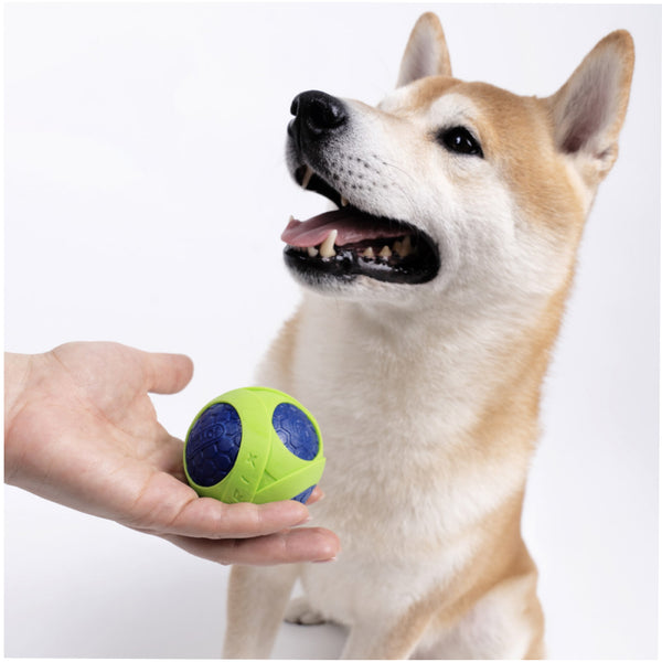 Joyser Netrix Ball for Dogs (Yellow/Orange)