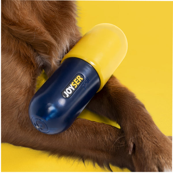 Joyser Pill Chew Toy for Dogs (Blue/Yellow)