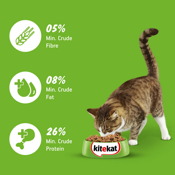 Kitekat Ocean Fish Adult Cat Dry Food