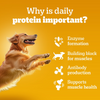 Pedigree Chicken and Liver Chunks in Gravy Adult Dog Wet Food (130g) Dogs-Wet Food Pedigree