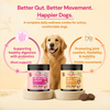 TailsAlive Hip & Joint, Probiotic Chicken Chews Comfort & Mobility Combo for Senior Dogs Dogs-Health & Wellness TailsAlive