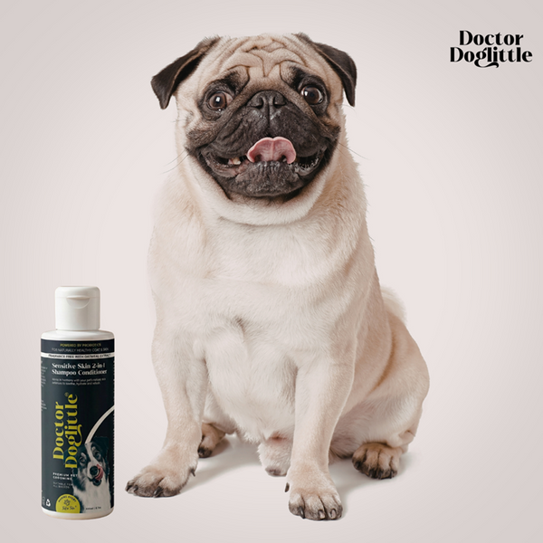 Doctor Doglittle Probiotic Sensitive Skin 2 in 1 Shampoo Conditioner for Dogs