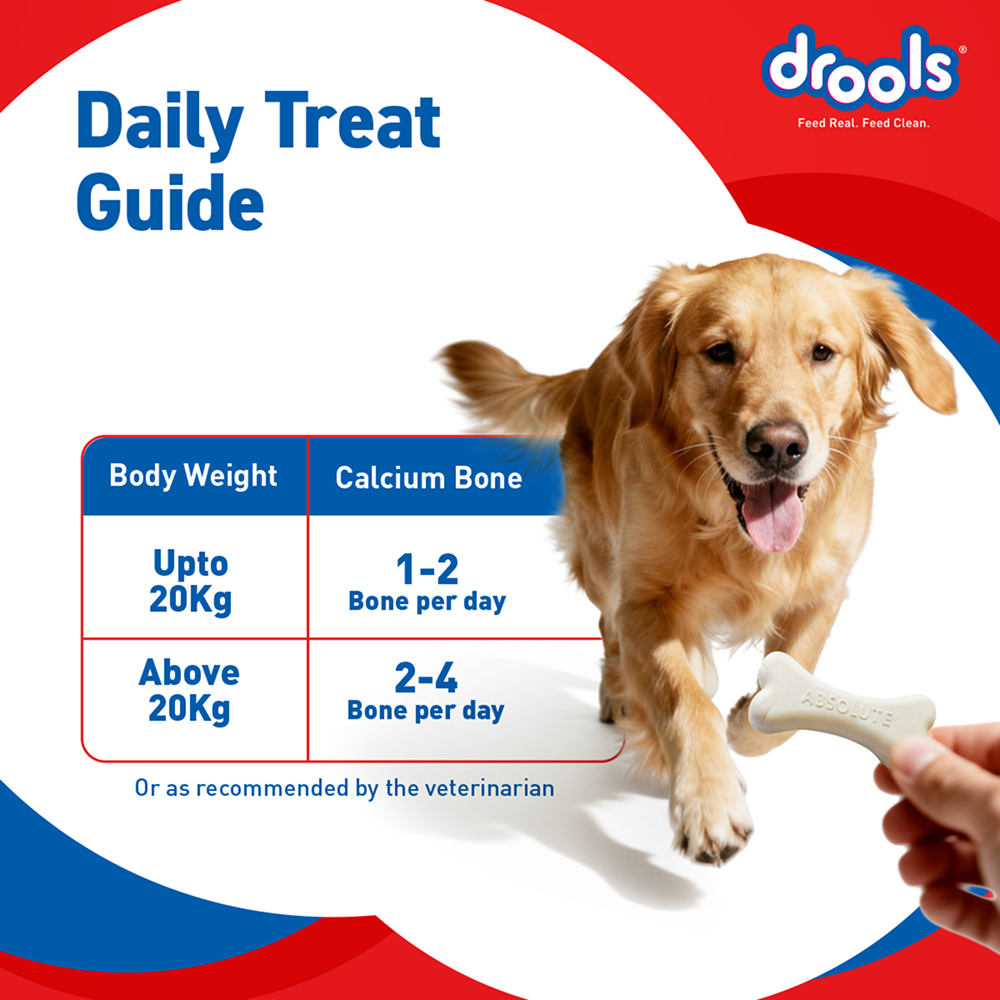 Drools Absolute Calcium Bones Dog treats (Jar) Dog Treats + Others Drools