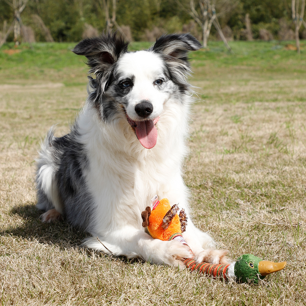 GiGwi Crunchy Neck Duck Toy for Dogs (Orange)