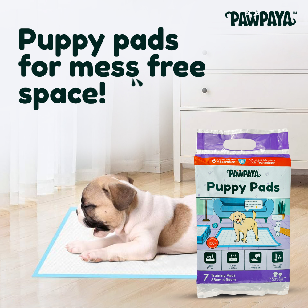 Pawpaya Training Pad for Dogs (White) Dogs-Health & Wellness Pawpaya