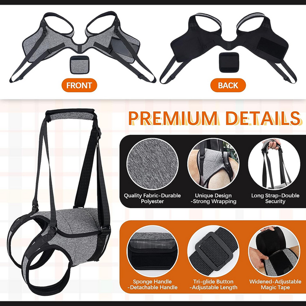 KUTKUT Rehabilitation Sling Hind Limb Support Lift Harness for Dogs (Grey)