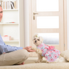 KUTKUT Cute Floral Pattern with Lovely Bow Dress for Small Dogs & Cats Both-Clothing & Accessories KUTKUT Dropship
