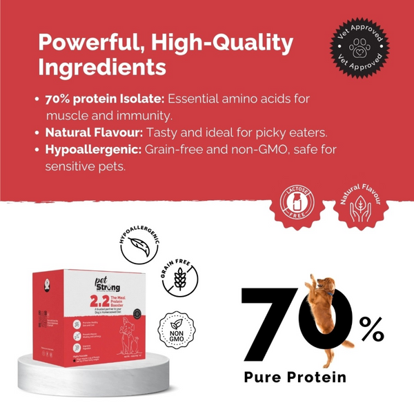 PetStrong 2.2  Meal Protein Booster for Dogs (10g)
