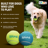Petstages Squeaker Tenis Ballz Toy for Dogs (Blue/Green) Dogs-Toys Petstages