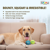 Petstages Squeaker Tenis Ballz Toy for Dogs (Blue/Green) Dogs-Toys Petstages