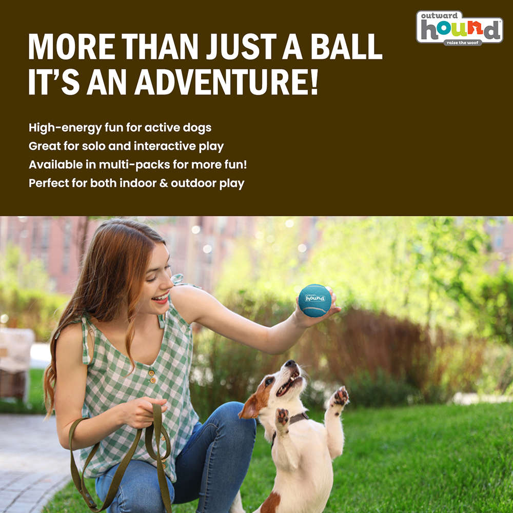 Petstages Squeaker Tenis Ballz Toy for Dogs (Blue/Green) Dogs-Toys Petstages