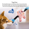 GiGwi Rock Zoo King Boxer Pig Toy for Dogs Dogs-Toys GiGwi