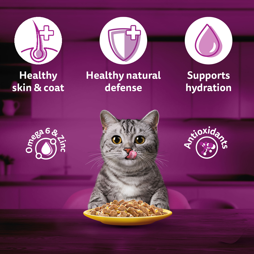 Whiskas Chicken in Gravy Adult Cat Wet Food Cats-Wet Food Whiskas