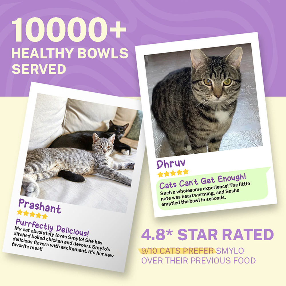 Smylo Chicken, Liver and Pomergranate Fresh and No Preservative Kitten Cat Wet Food Cats-Wet Food Smylo