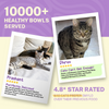 Smylo Chicken, Liver and Pomergranate Fresh and No Preservative Kitten Cat Wet Food Cats-Wet Food Smylo