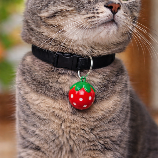 Talking Dog Club Strawberry Collar Bell for Kittens & Cats (Red)