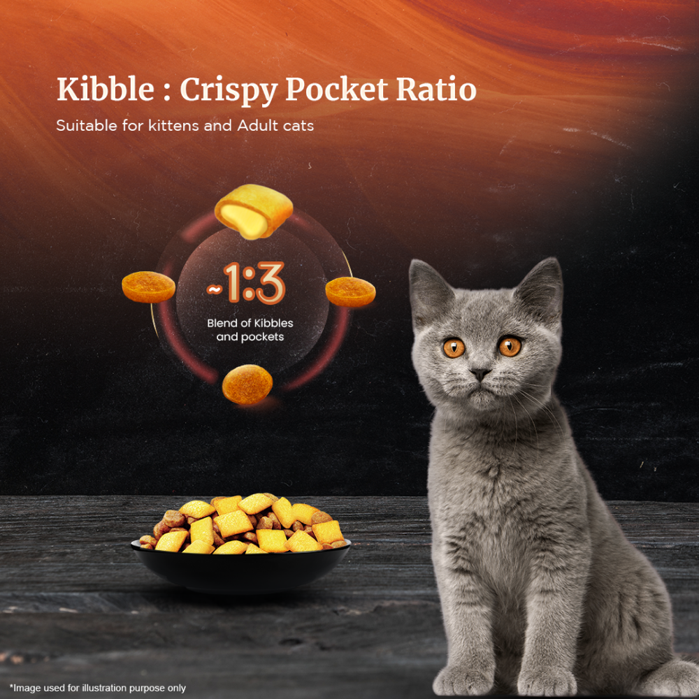 Sheba Chicken With Tuna In Gravy Premium Adult Cat Wet Food and Chicken All Life Stage Cat Dry Food Combo