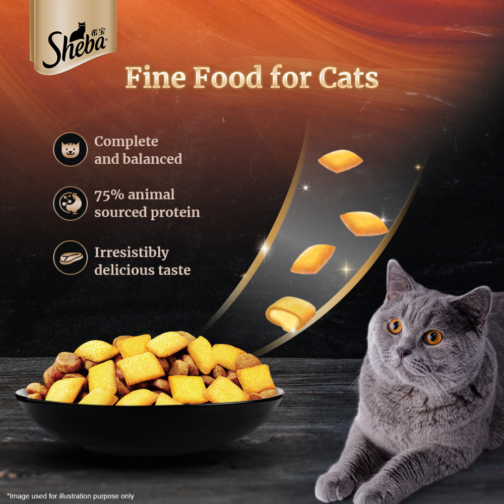 Sheba Fish with Sasami Premium Cat Wet Food and Sheba Chicken Flavour Irresistible All Life Stage Cat Dry Food Combo