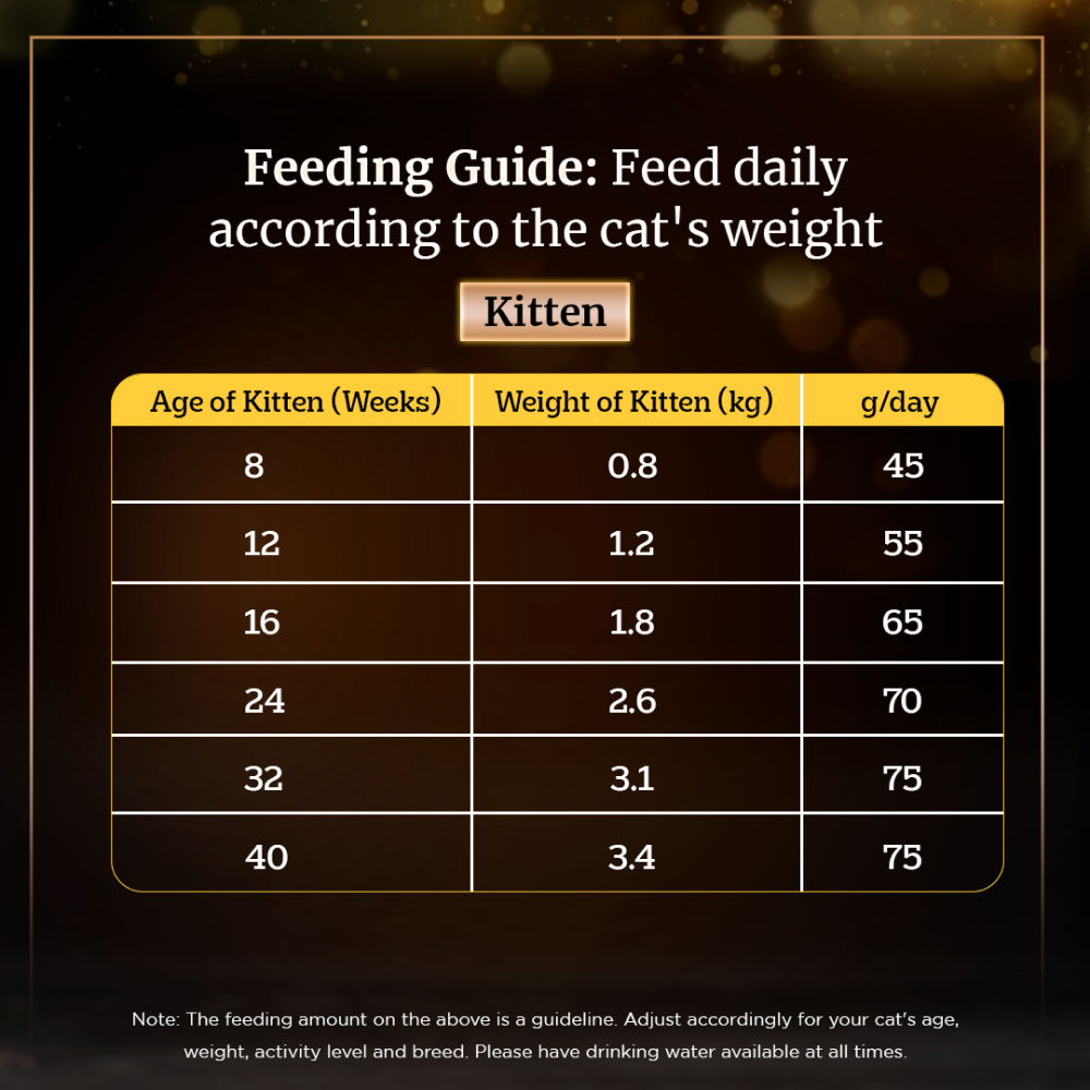 Sheba Tuna Fillet & Whole Prawns in Gravy Premium Cat Wet Food and Chicken Flavour Irresistible All Life Stage Cat Dry Food Combo Exclusive Combo Sheba